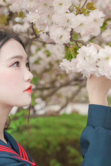 全球黑帮花名册